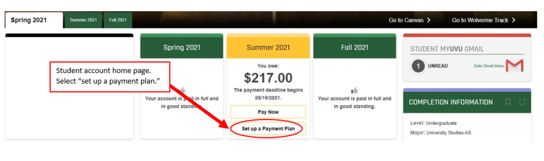 Click on the terms Set up a payment plan button.