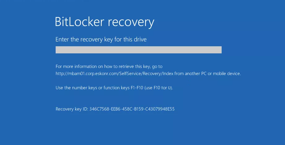 Screenshot of Bit Locker recovery screen