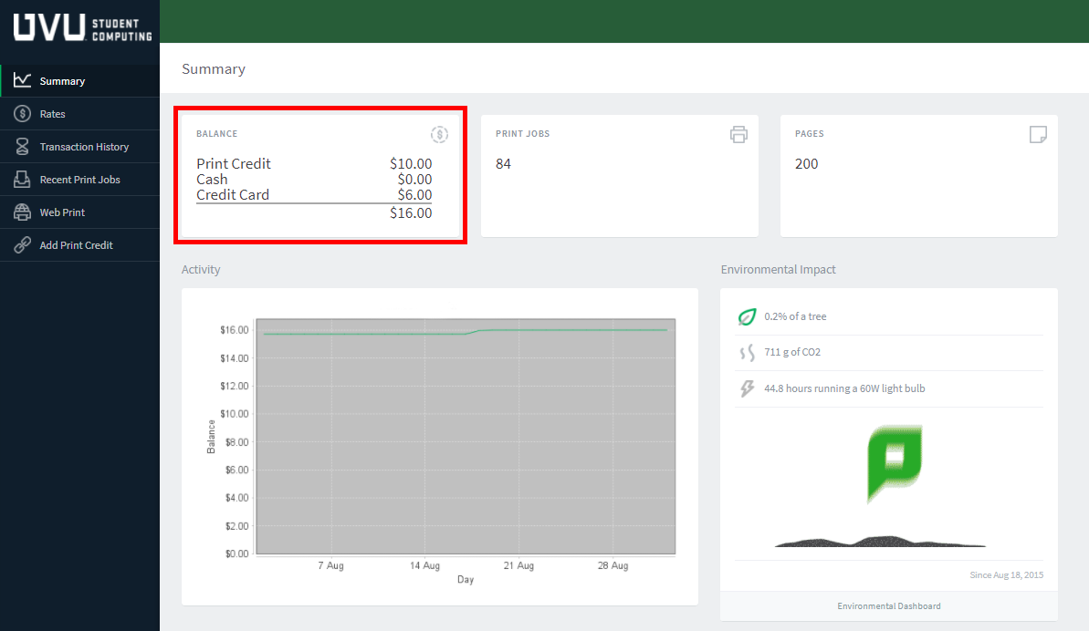 Summary page balance status.