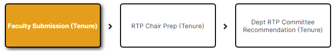 Tenure review process diagram.